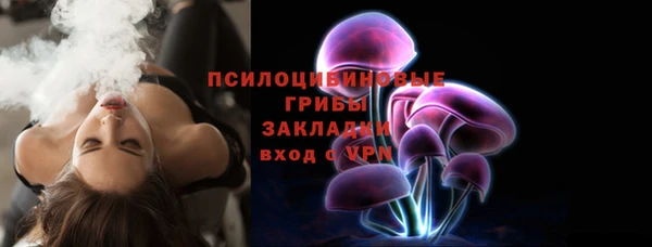 не бодяженный Арсеньев