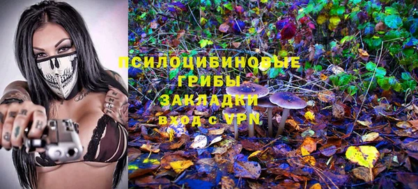 марки lsd Алапаевск