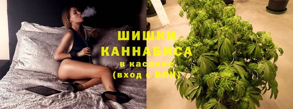 spice Аркадак
