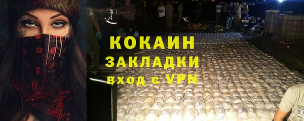spice Аркадак