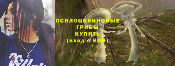 прущие крисы Армянск